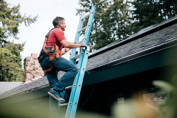 Best Gutter Installation and Repair  in Cedar Lake, IN